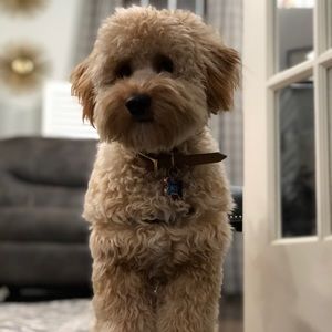 Meet your Posher, Jon